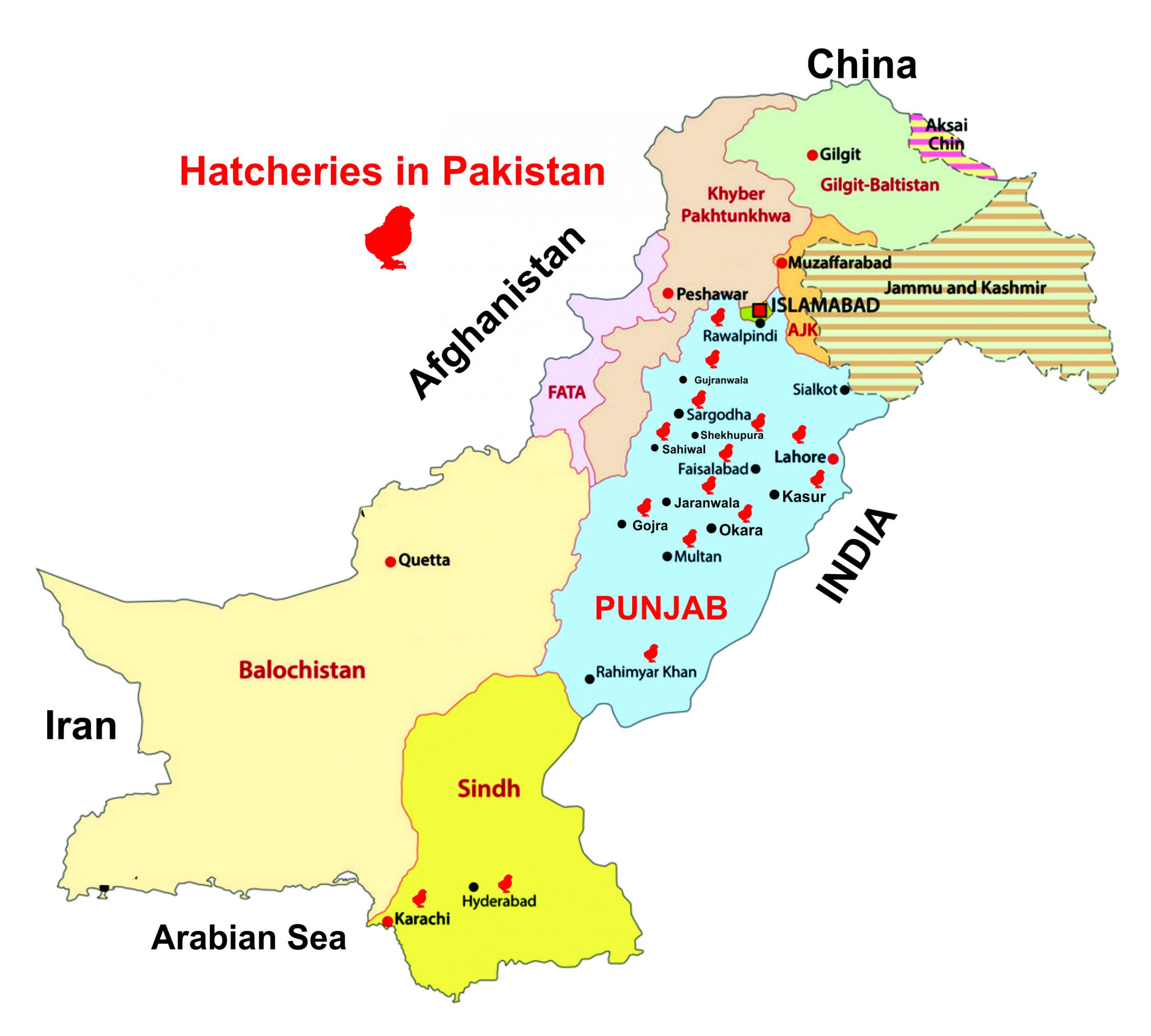 Hatcheries in Pakistan (1)